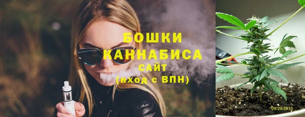 соль ск Инсар