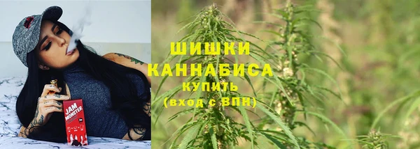 шишки Инта