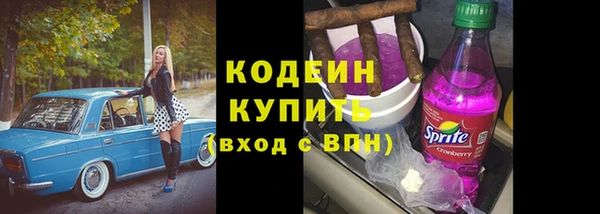 соль ск Инсар