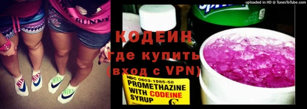 шишки Инта