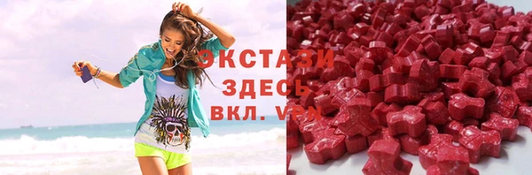 шишки Инта