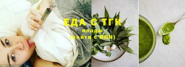 соль ск Инсар