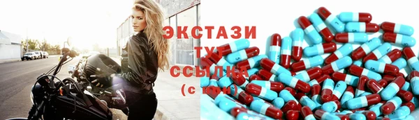 соль ск Инсар