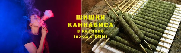 соль ск Инсар