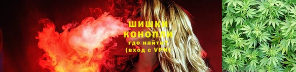соль ск Инсар