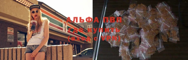бошки Иннополис