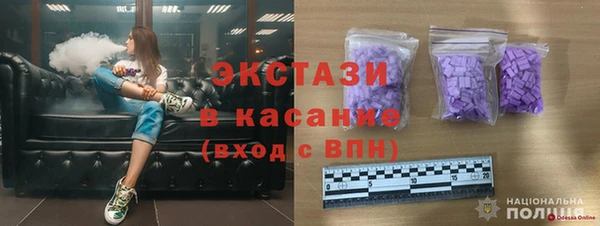 соль ск Инсар