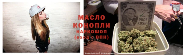 шишки Инта