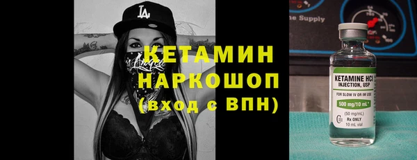 шишки Инта