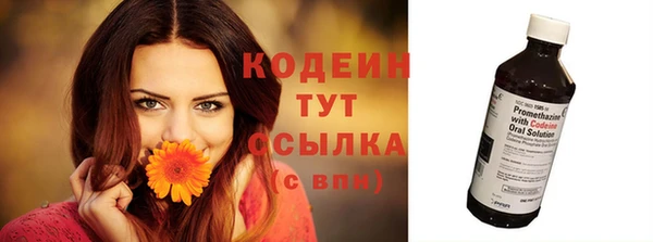 шишки Инта