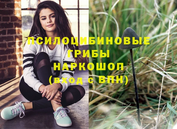 соль ск Инсар