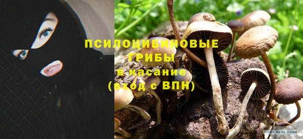 соль ск Инсар