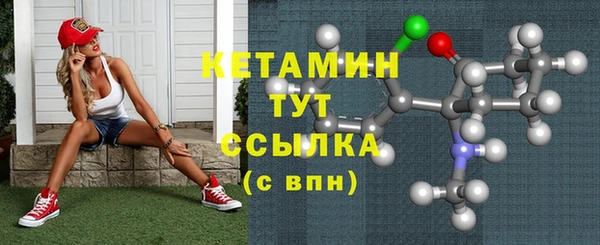 шишки Инта