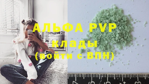 бошки Иннополис