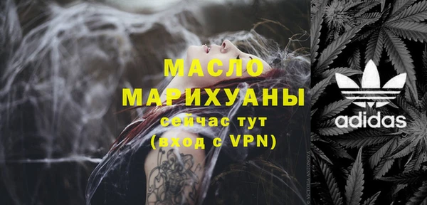 соль ск Инсар