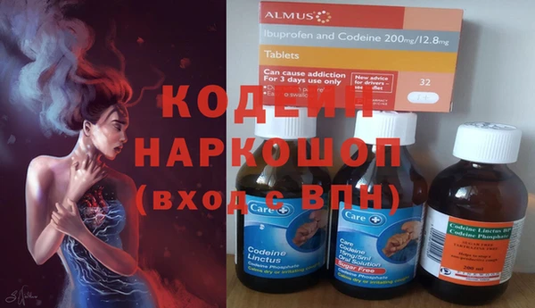 соль ск Инсар