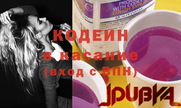 шишки Инта