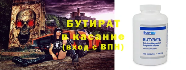 шишки Инта