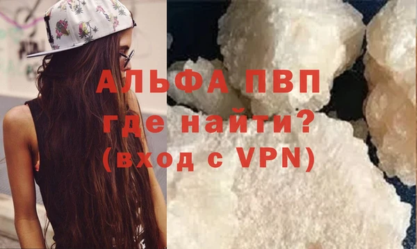шишки Инта