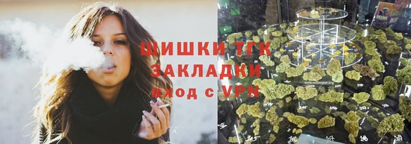 шишки Инта