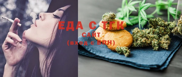 соль ск Инсар