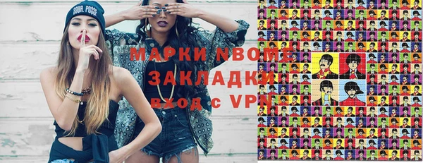 шишки Инта
