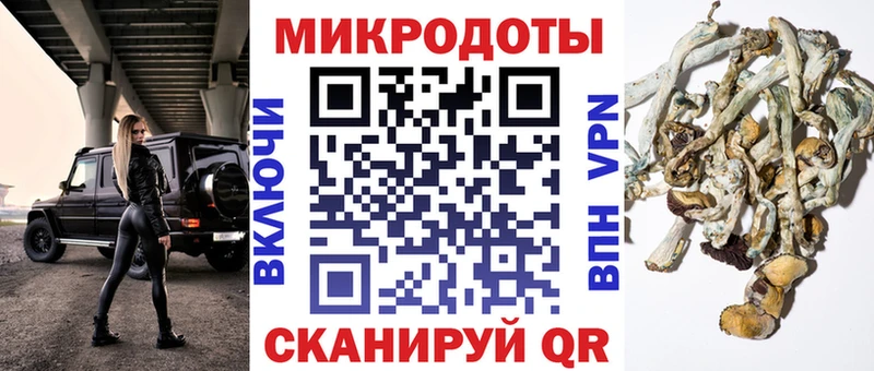 Купить  Кашира  Псилоцибиновые грибы мицелий 